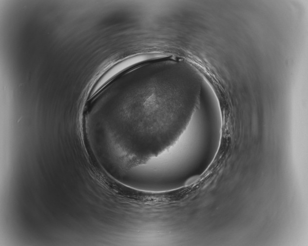 X0000093730099200710161124