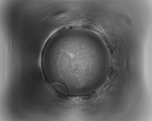 X0000093730100200710161124