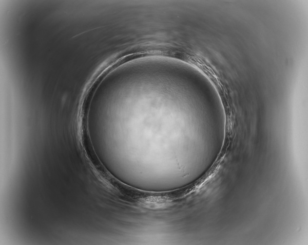 X0000093730101200710161124