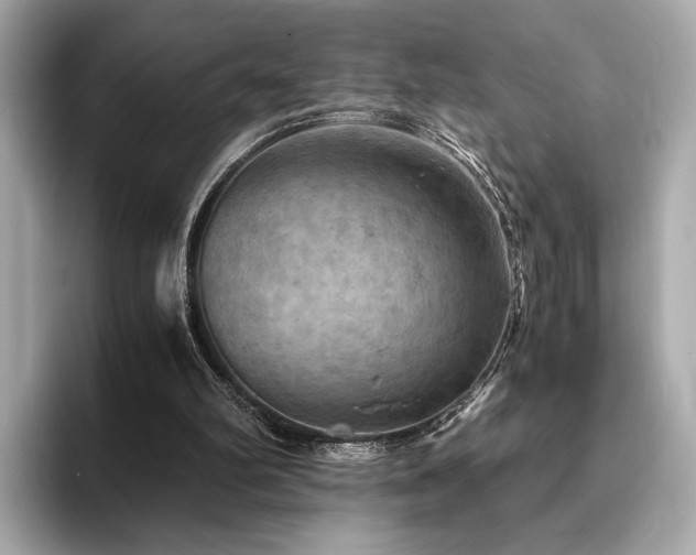 X0000093730102200710161124