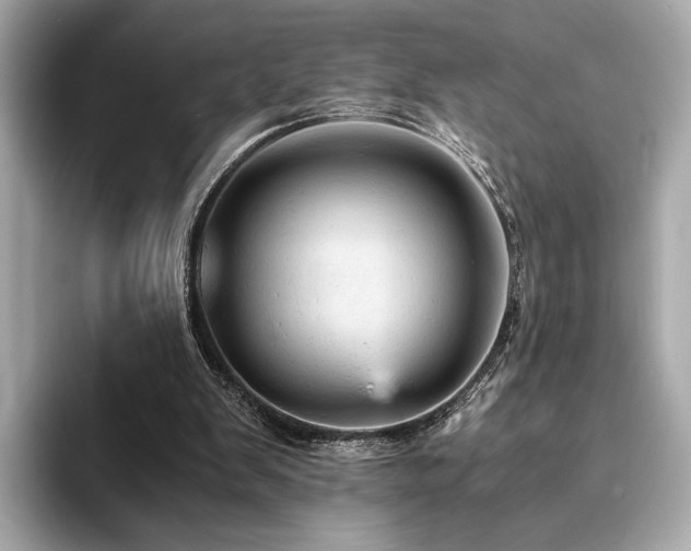 X0000093730103200710161124