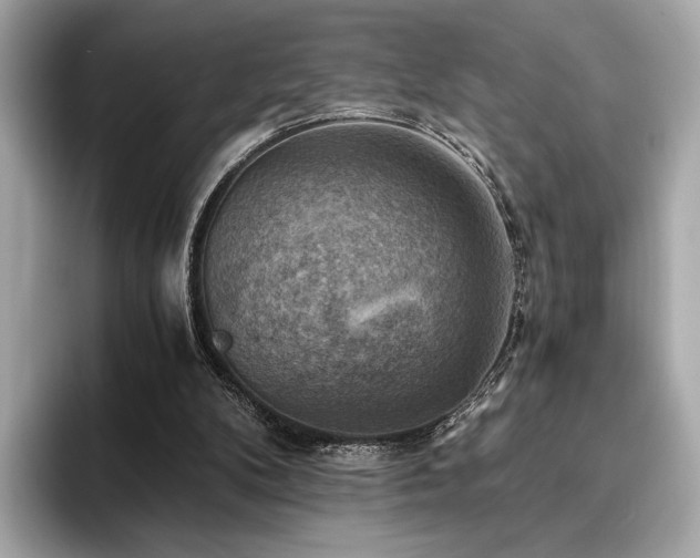 X0000093730104200710161124