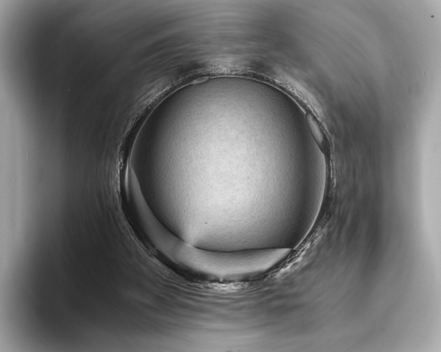 X0000093730105200710161124