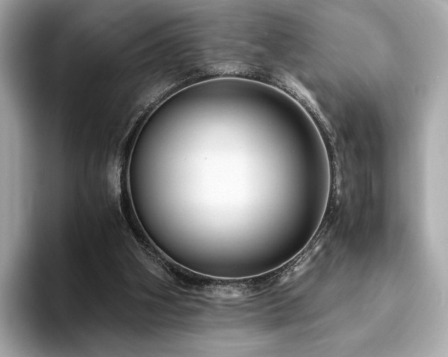 X0000093730106200710161124