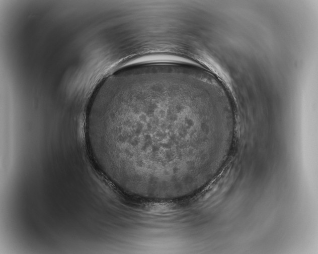 X0000093730107200710161124