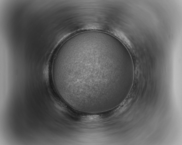 X0000093730108200710161124