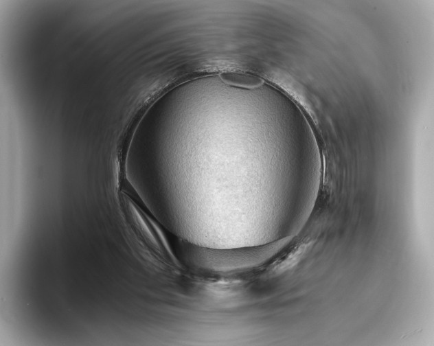 X0000093730109200710161124