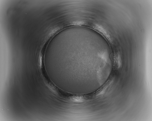 X0000093730110200710161124
