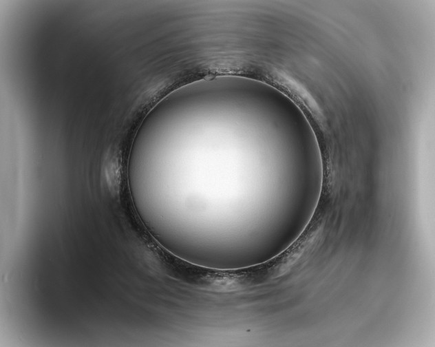 X0000093730113200710161124