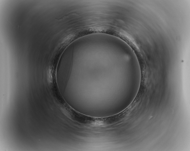 X0000093730114200710161124