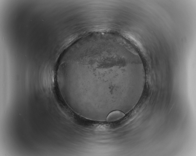 X0000093730115200710161124