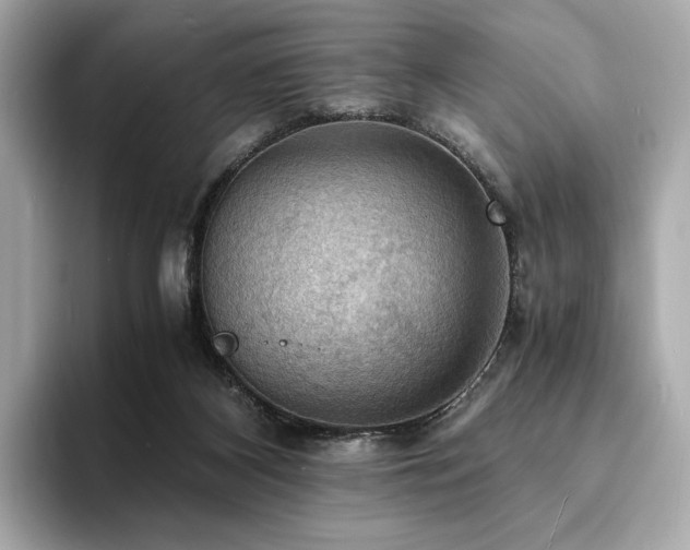 X0000093730116200710161124