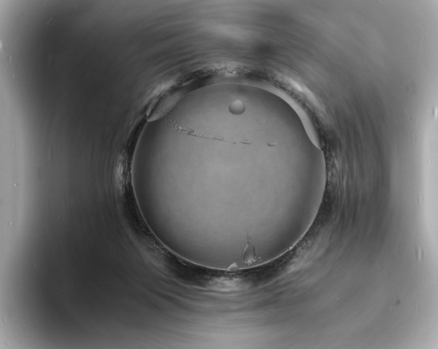 X0000093730119200710161124