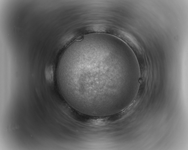 X0000093730120200710161124