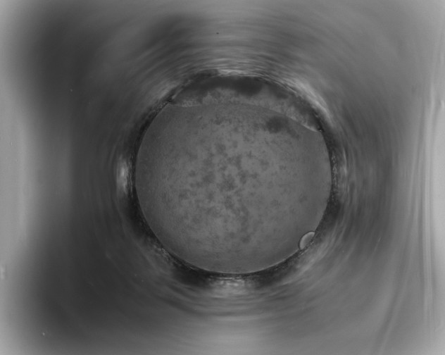 X0000093730123200710161124