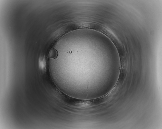 X0000093730124200710161124