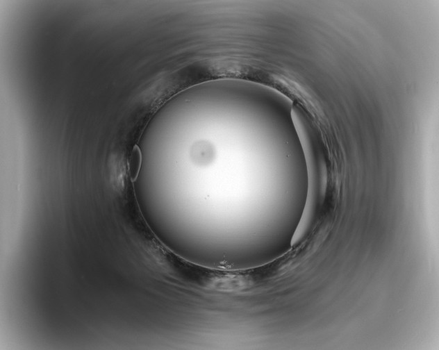 X0000093730125200710161124