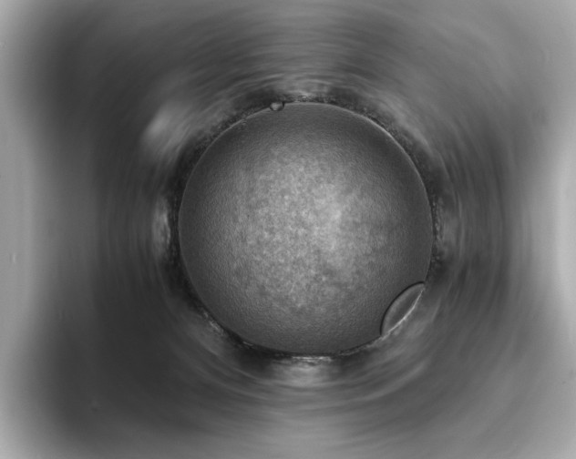 X0000093730128200710161124