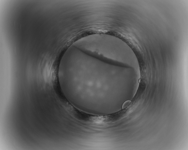 X0000093730131200710161124