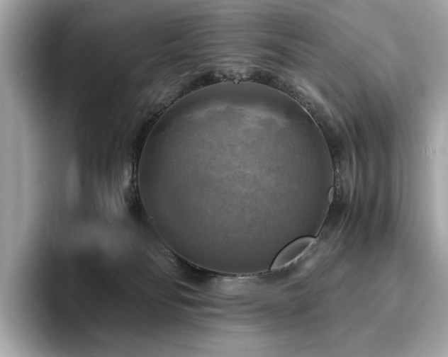 X0000093730134200710161124