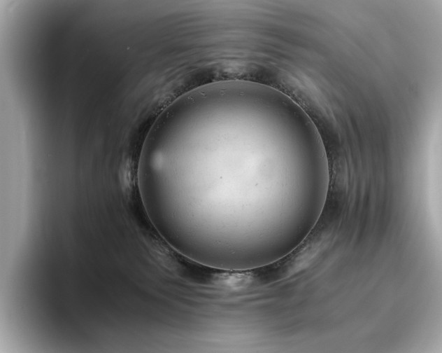 X0000093730135200710161124