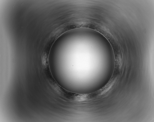 X0000093730138200710161124