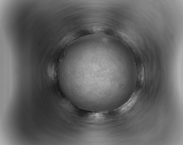 X0000093730140200710161124