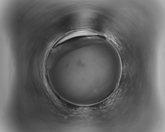 X0000093730145200710161123