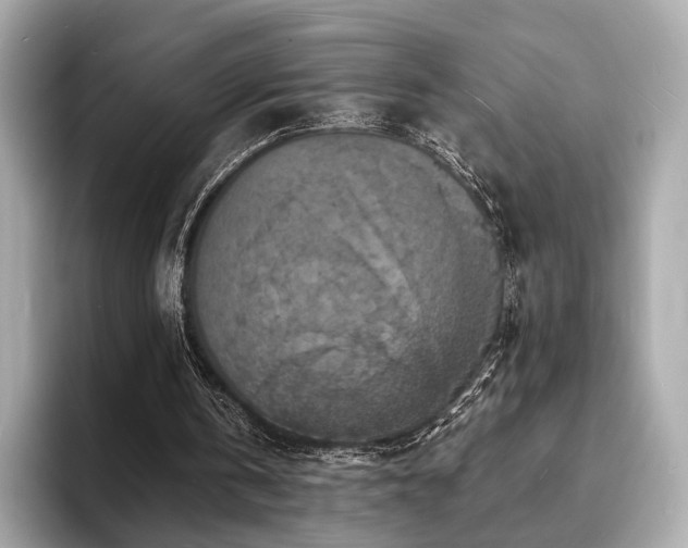 X0000093730146200710161123