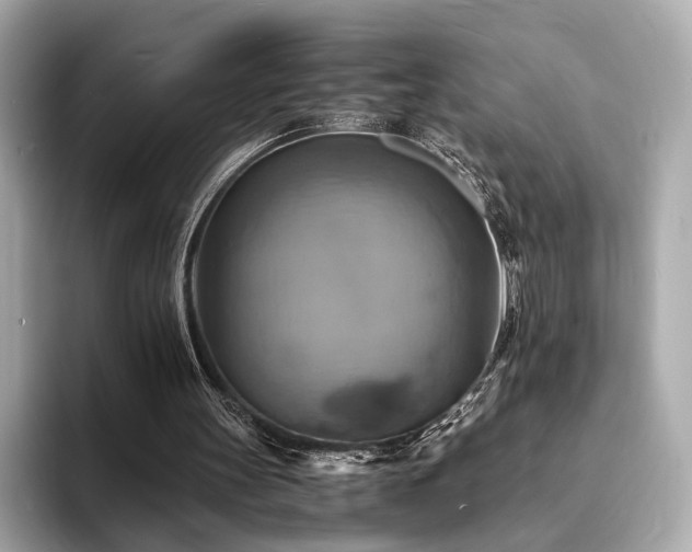 X0000093730147200710161123