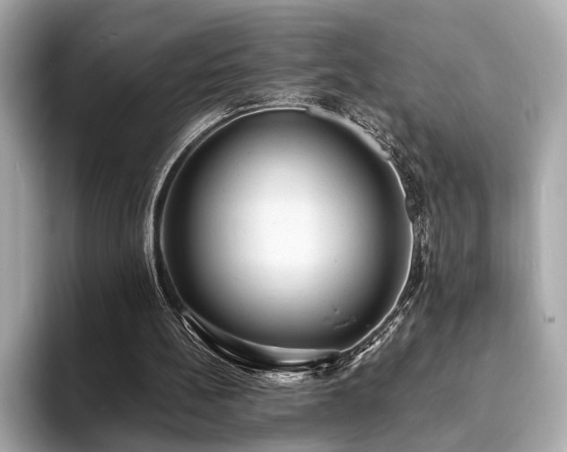 X0000093730148200710161123