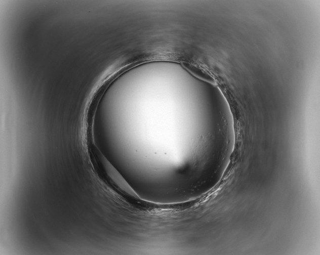 X0000093730150200710161123