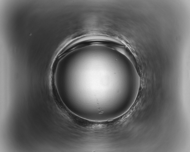 X0000093730152200710161123