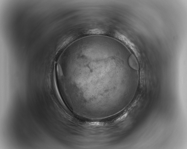 X0000093730153200710161123
