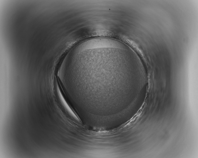 X0000093730154200710161123