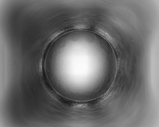 X0000093730155200710161123