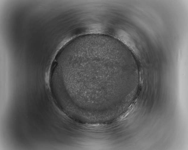 X0000093730156200710161123