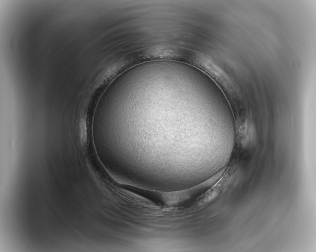 X0000093730158200710161123