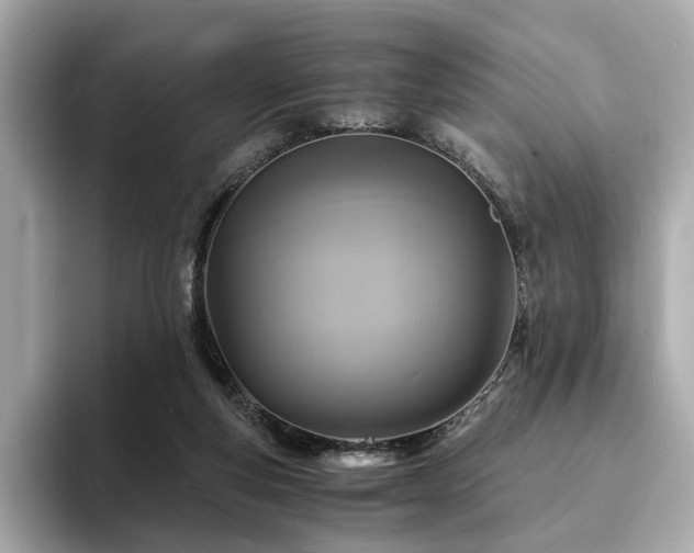 X0000093730163200710161123