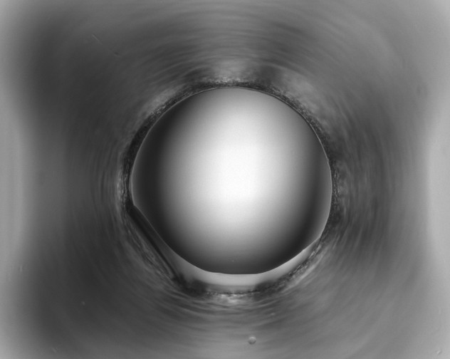X0000093730164200710161123