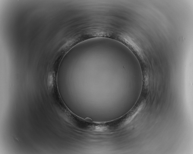 X0000093730165200710161123