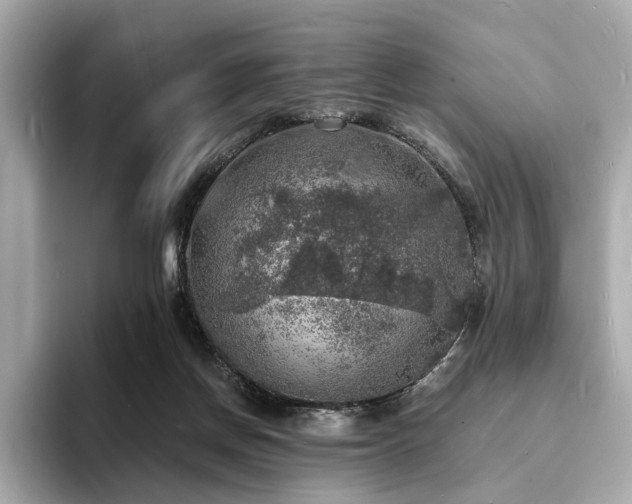 X0000093730166200710161123