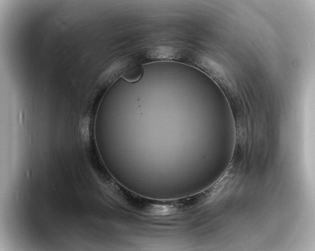 X0000093730167200710161123