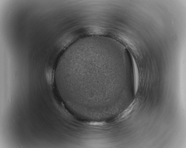 X0000093730168200710161123
