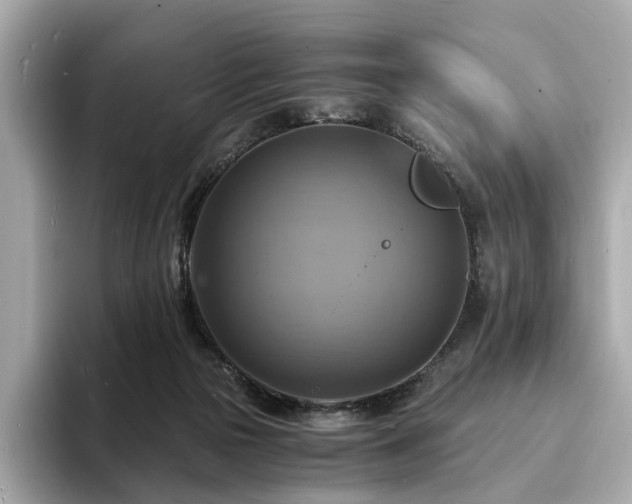 X0000093730169200710161123