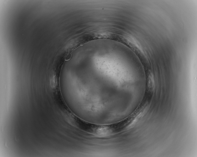 X0000093730173200710161123
