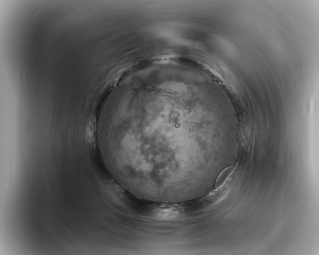 X0000093730175200710161123
