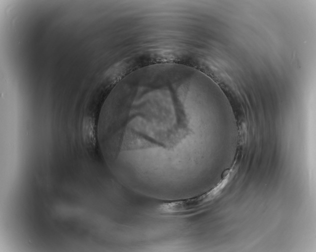 X0000093730178200710161123
