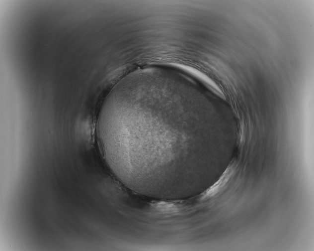 X0000093730180200710161123