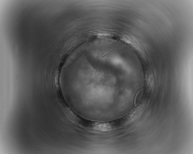 X0000093730185200710161123